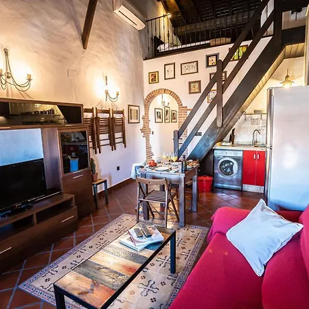 Versatil Zarza De Granadilla