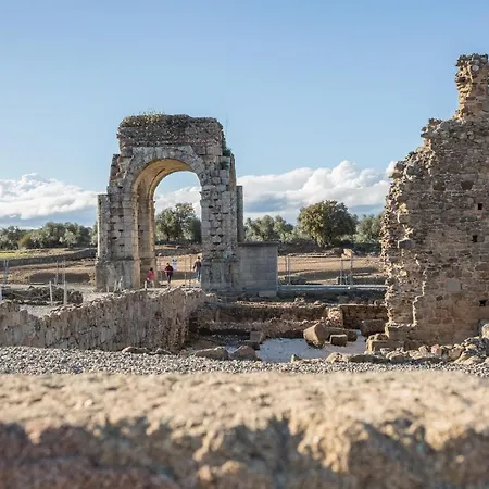 Versátil * Zarza De Granadilla